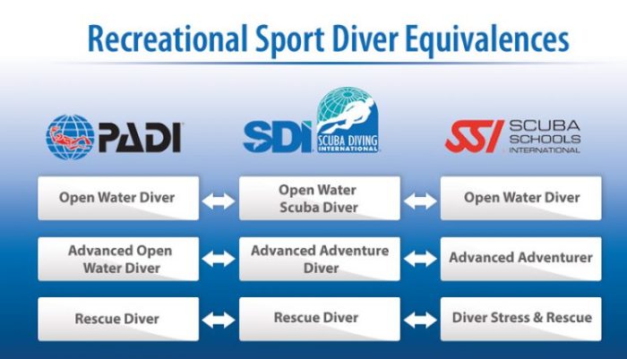 Scuba organizations certification programs naui ssi